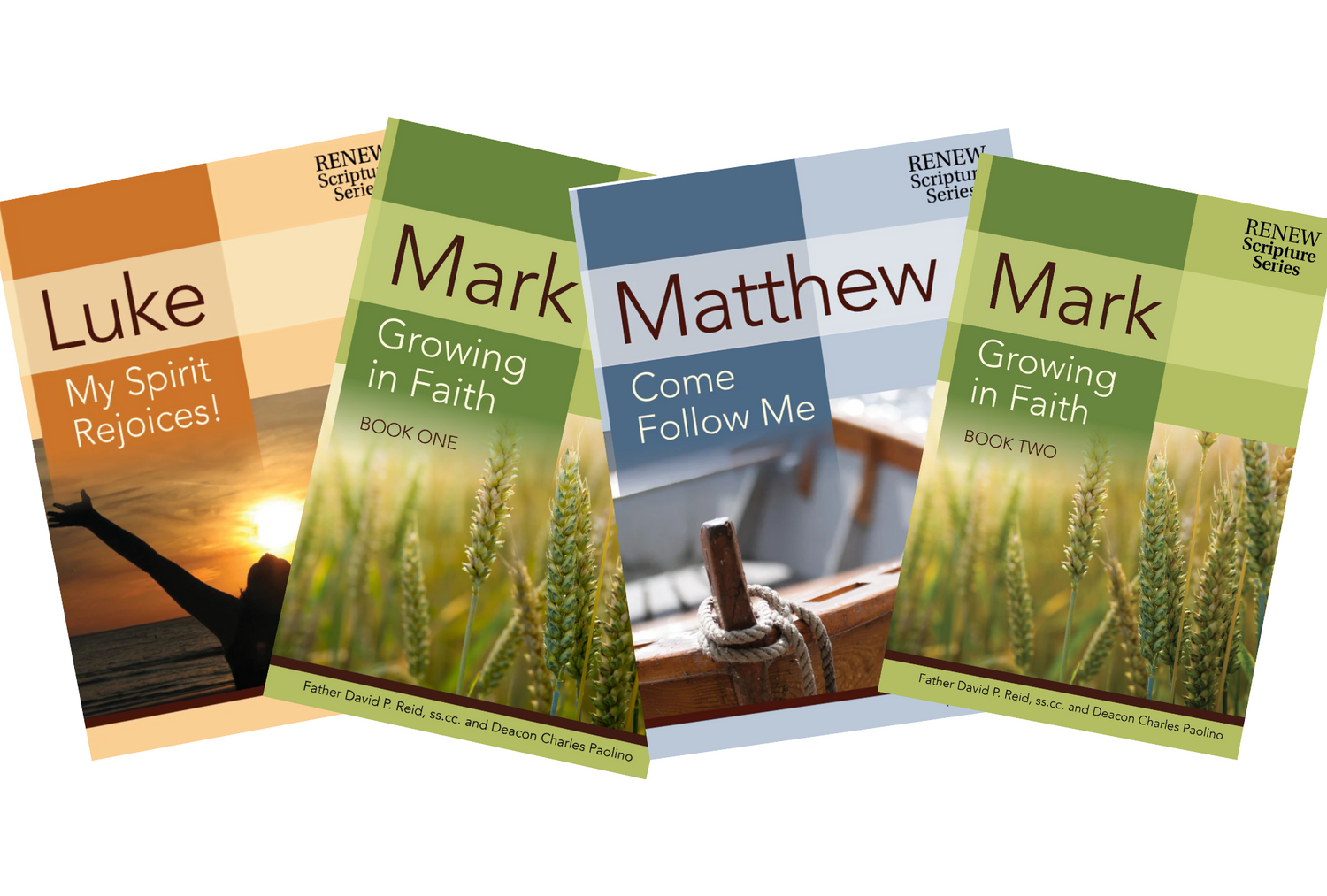 Scripture Series