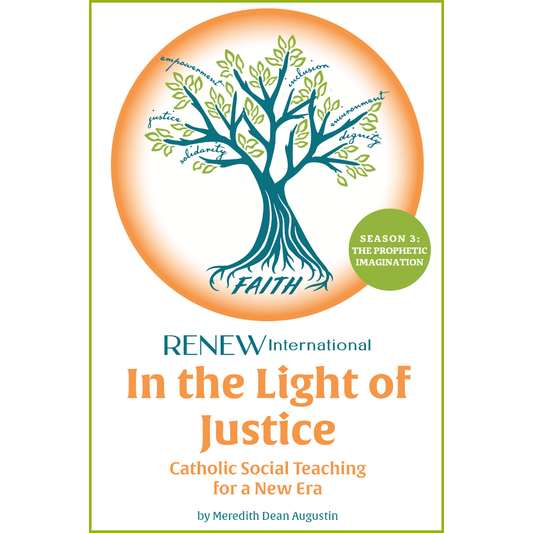 In the Light of Justice: The Prophetic Imagination
