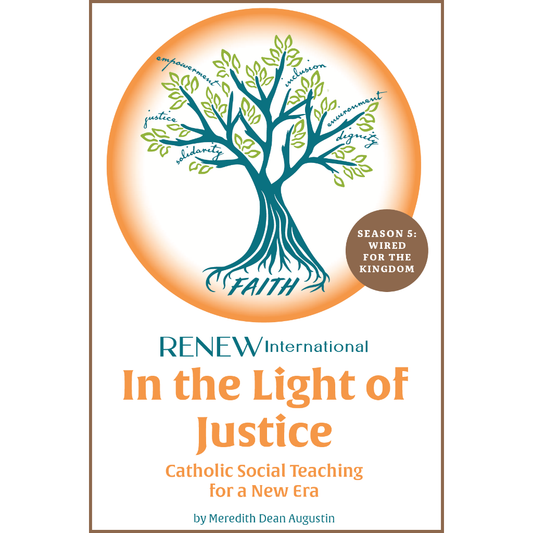 In the Light of Justice: Wired for the Kingdom