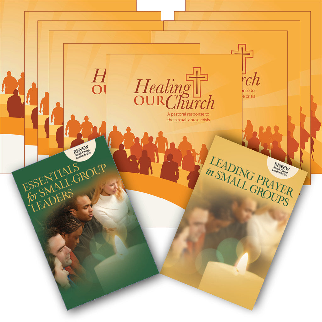 Healing Our Church: Small Group Set